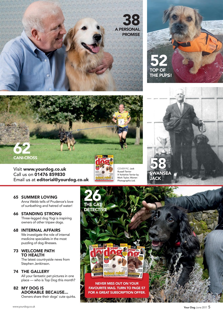 Your Dog Preview Pages