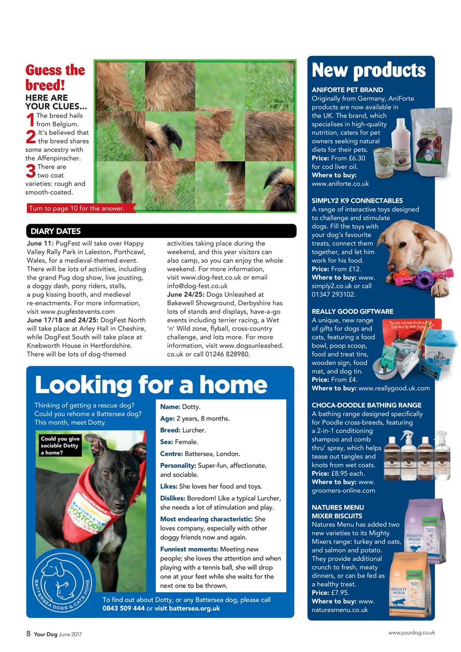 Your Dog Preview Pages