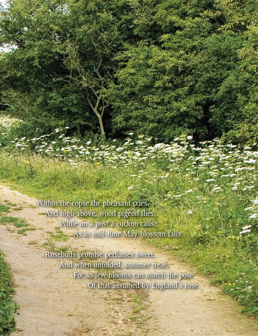 This England Preview Pages