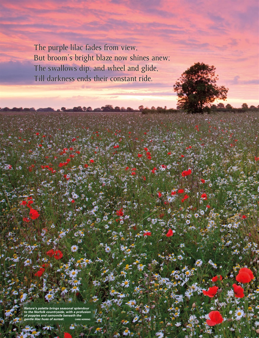 This England Preview Pages