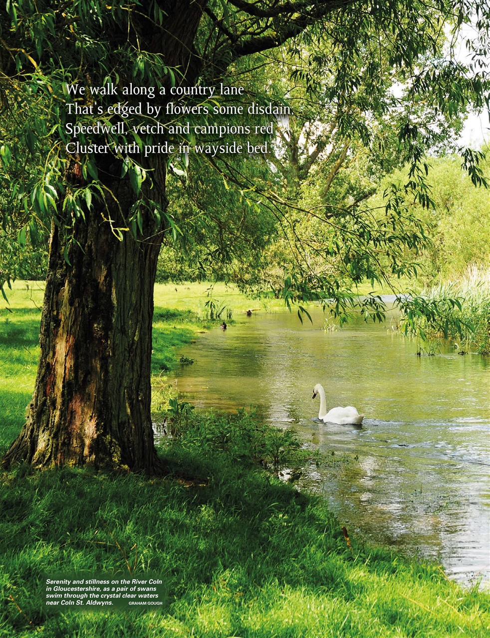 This England Preview Pages