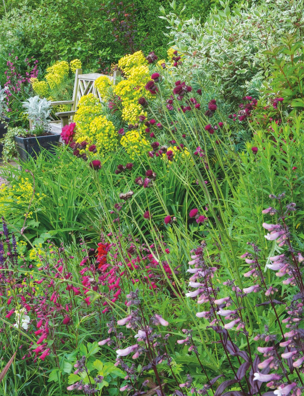 Country Life Preview Pages