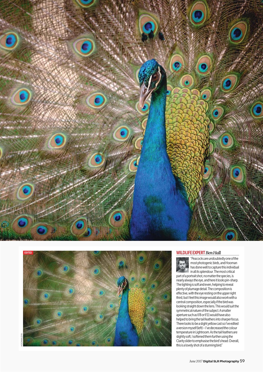 Digital SLR Photography Preview Pages