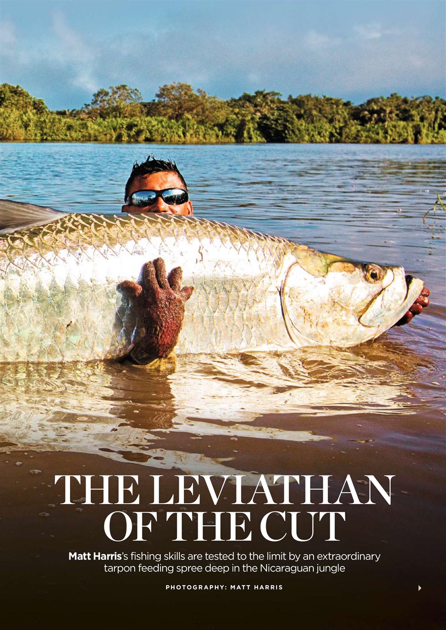 Trout & Salmon Preview Pages