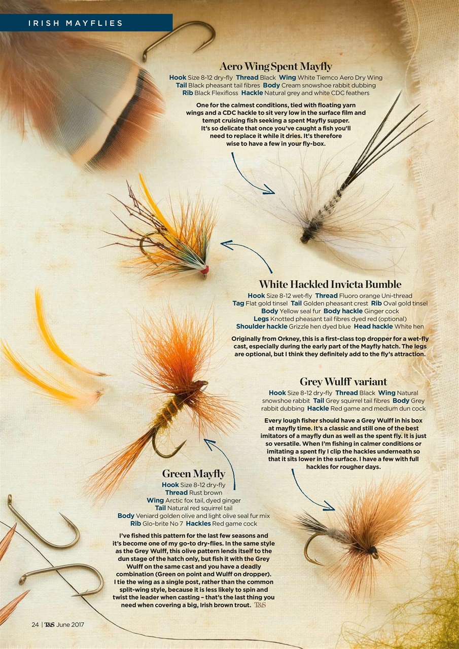 Trout & Salmon Preview Pages