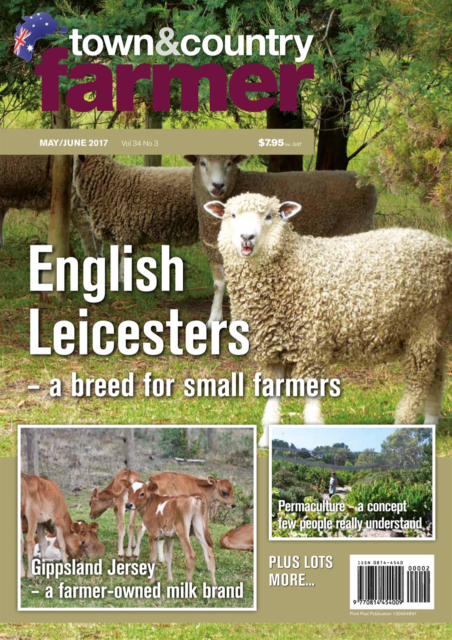 Town And Country Farmer Preview Pages