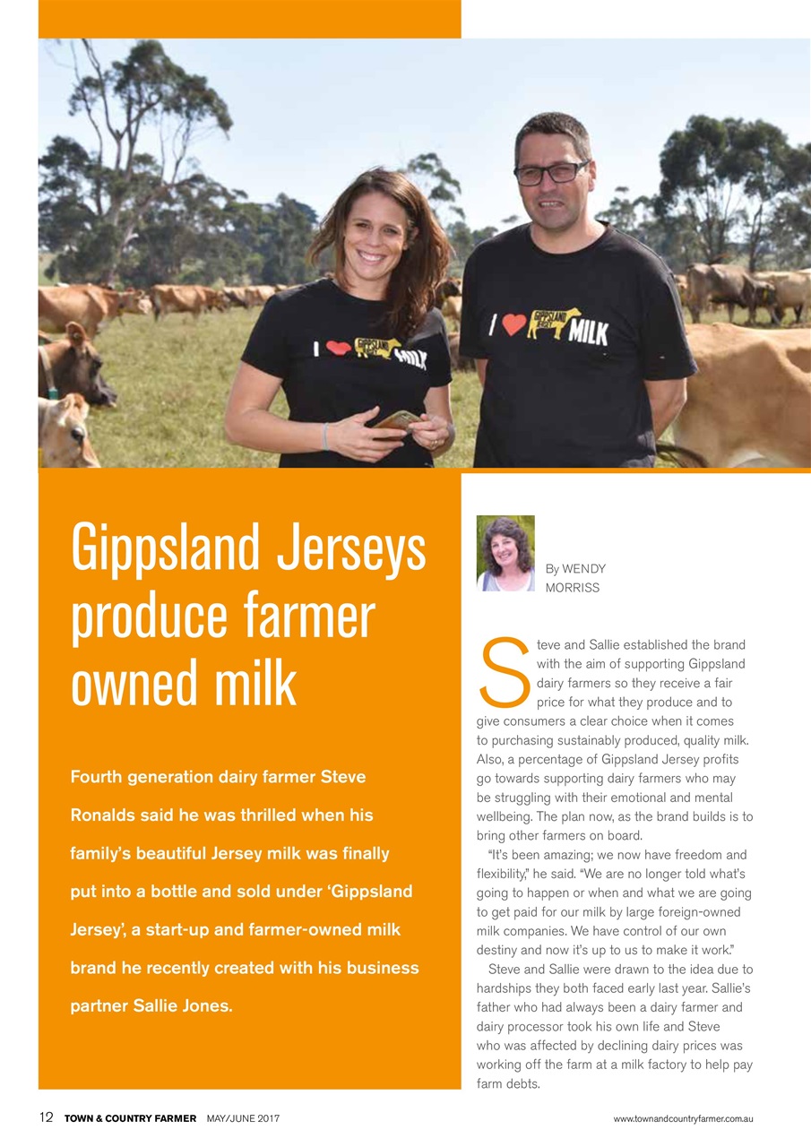 Town And Country Farmer Preview Pages