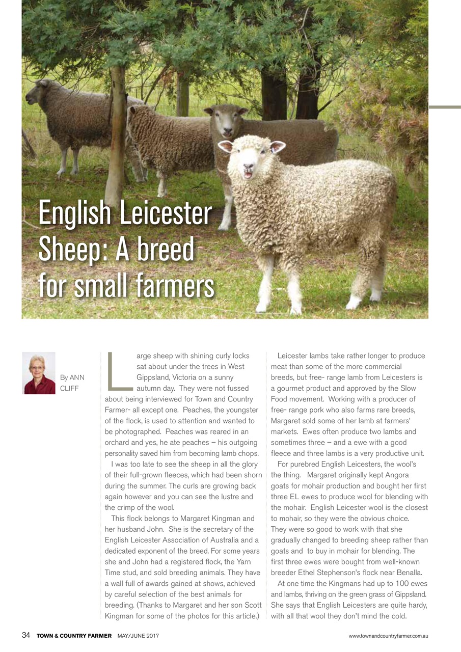 Town And Country Farmer Preview Pages