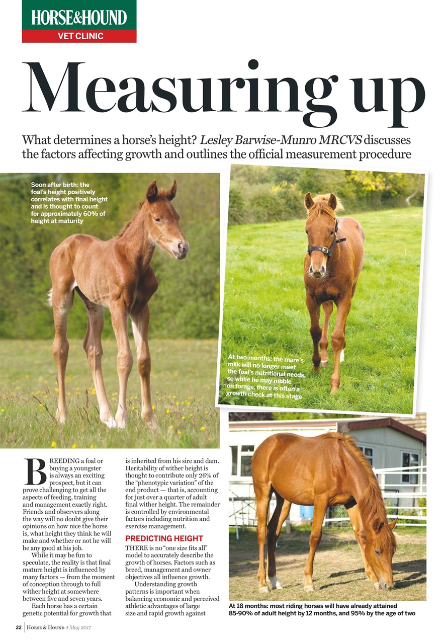 Horse & Hound Preview Pages