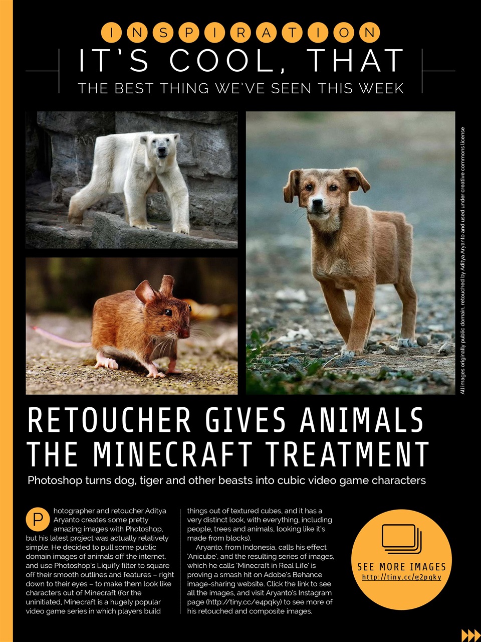 Photography Week Preview Pages