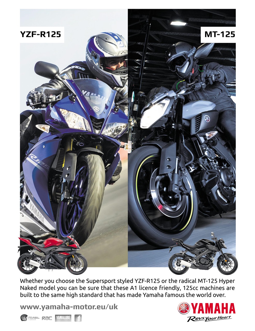 Twist & Go Preview Pages