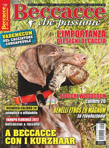 BECCACCE CHE PASSIONE issue 