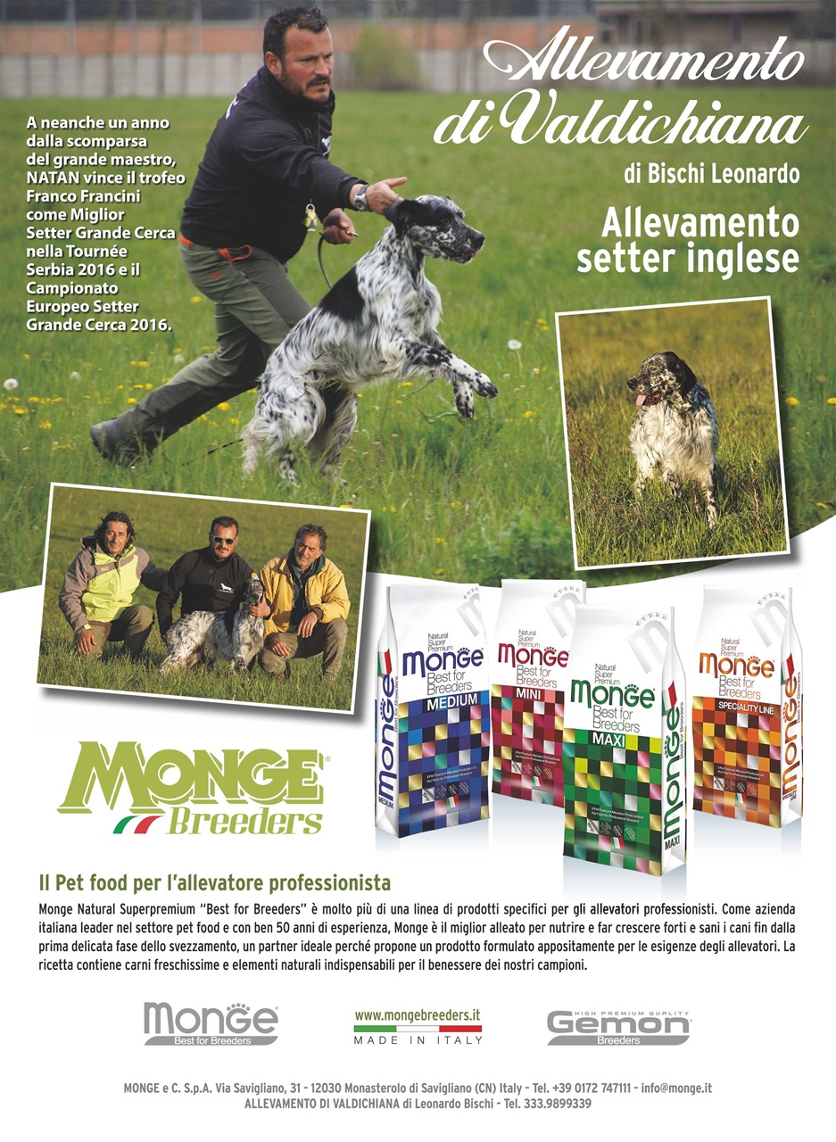 BECCACCE CHE PASSIONE Preview Pages