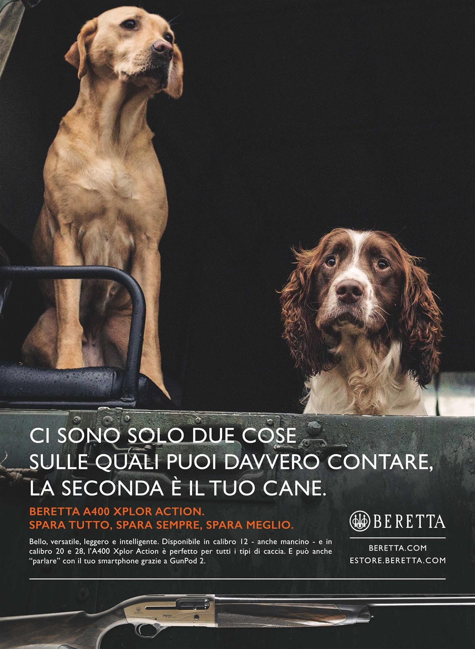 BECCACCE CHE PASSIONE Preview Pages