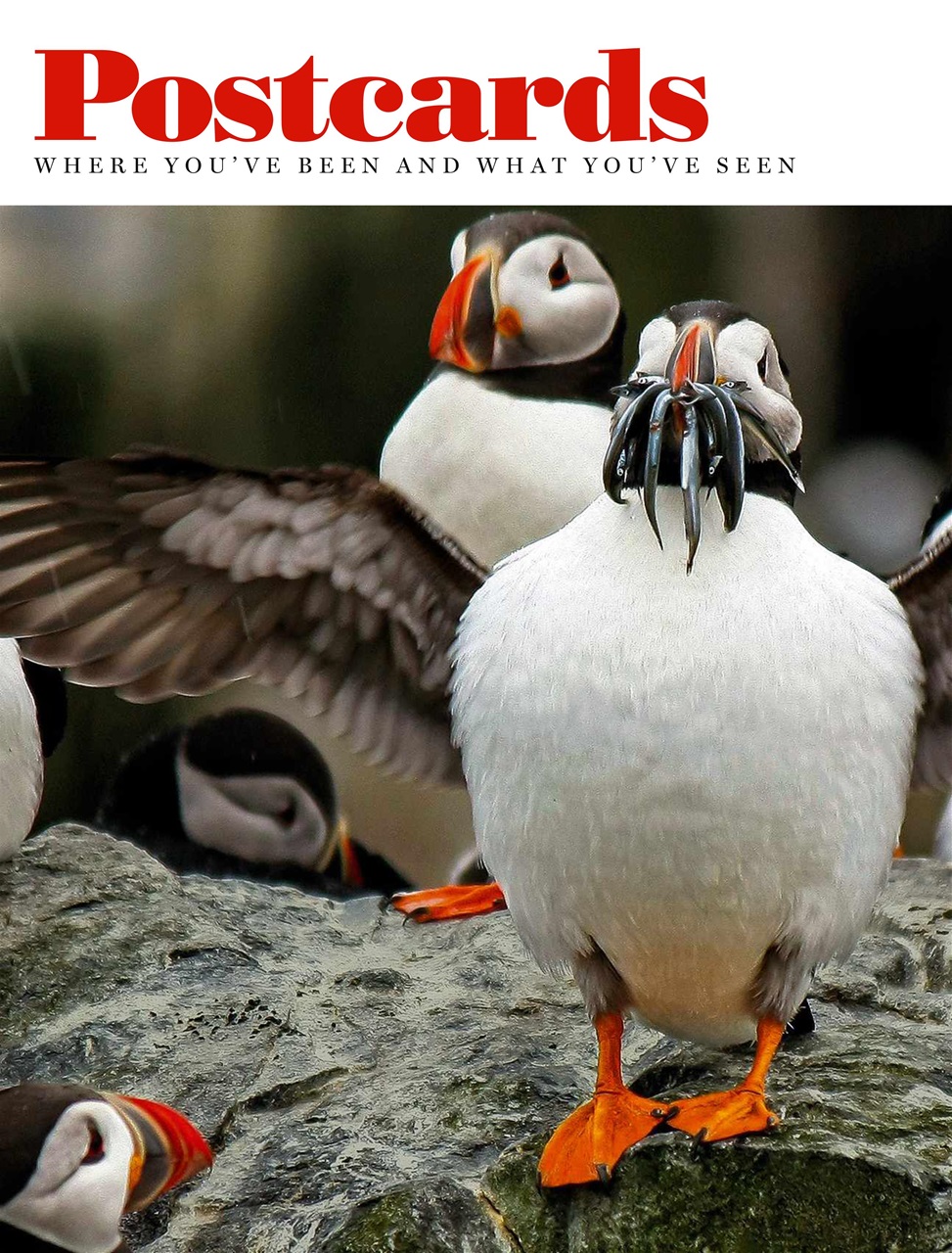 Lonely Planet Preview Pages