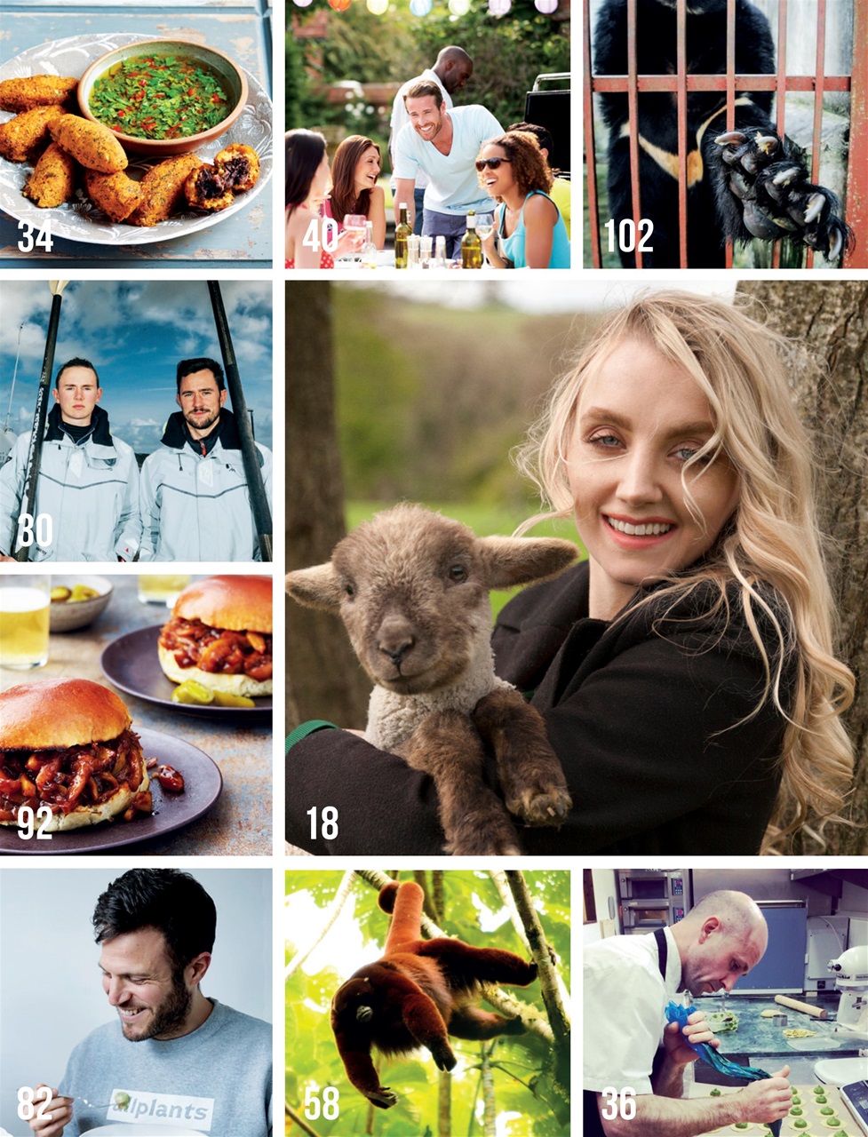 Vegan Life Preview Pages