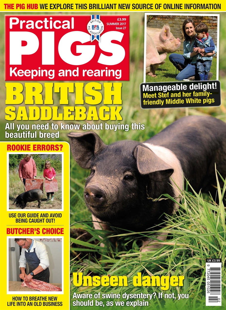 Practical Pigs Preview Pages