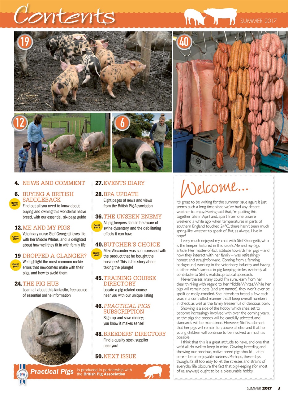 Practical Pigs Preview Pages