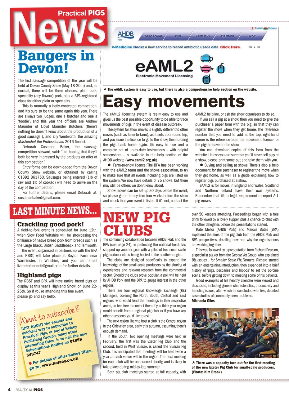 Practical Pigs Preview Pages