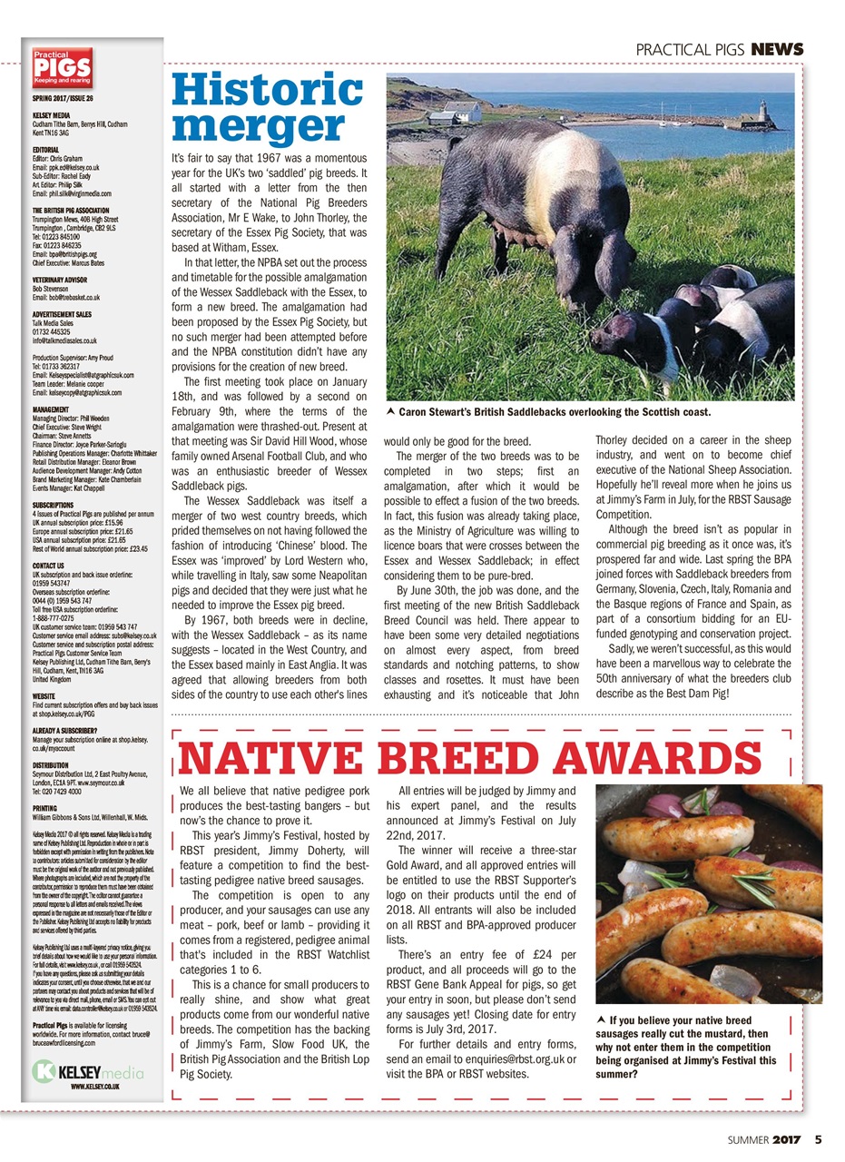 Practical Pigs Preview Pages