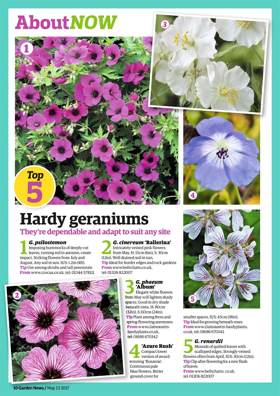 Garden News Preview Pages