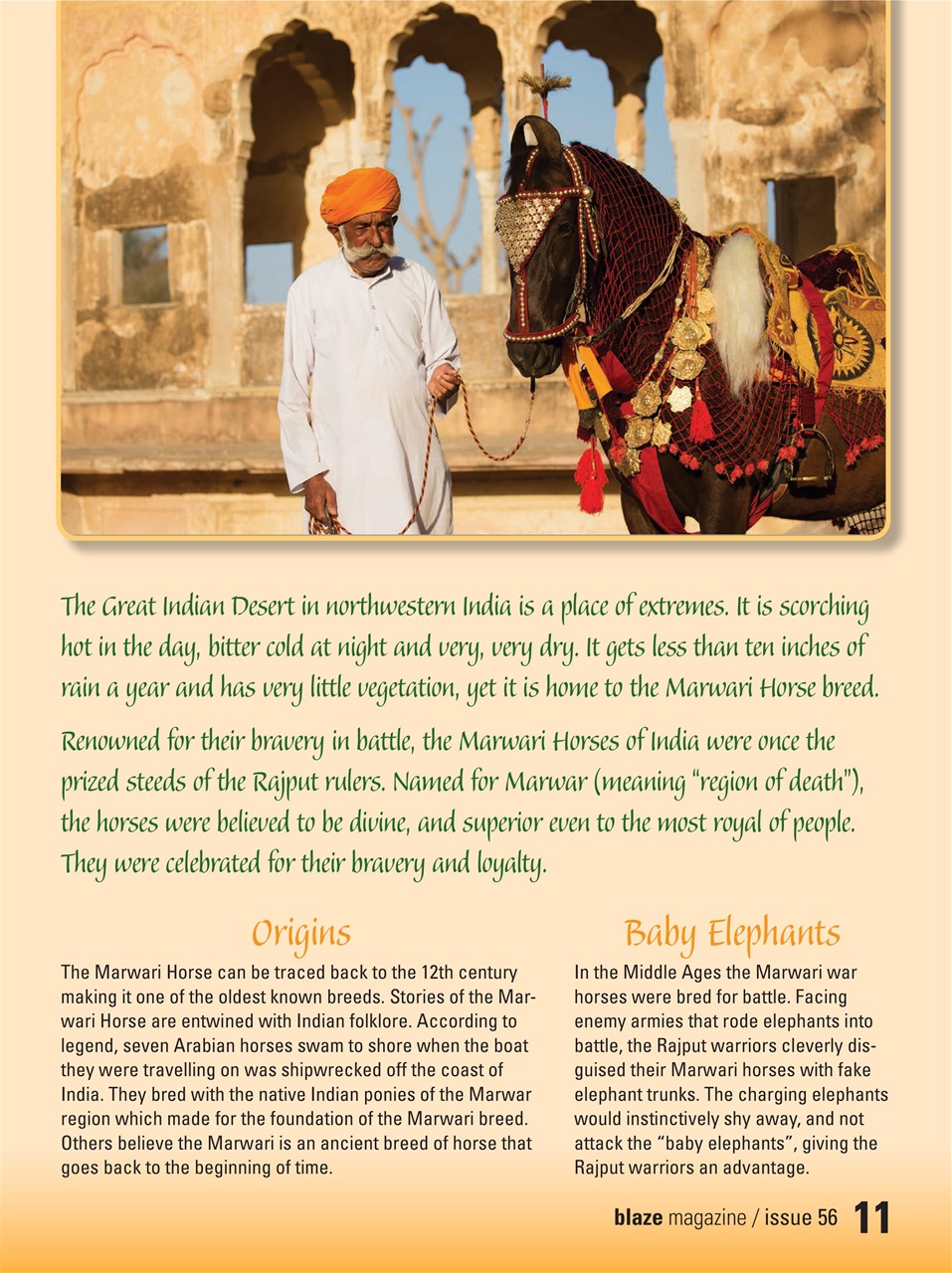 Blaze Magazine For Horse Crazy Kids Preview Pages