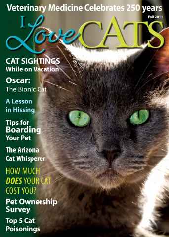 I Love Cats issue Fall 2011