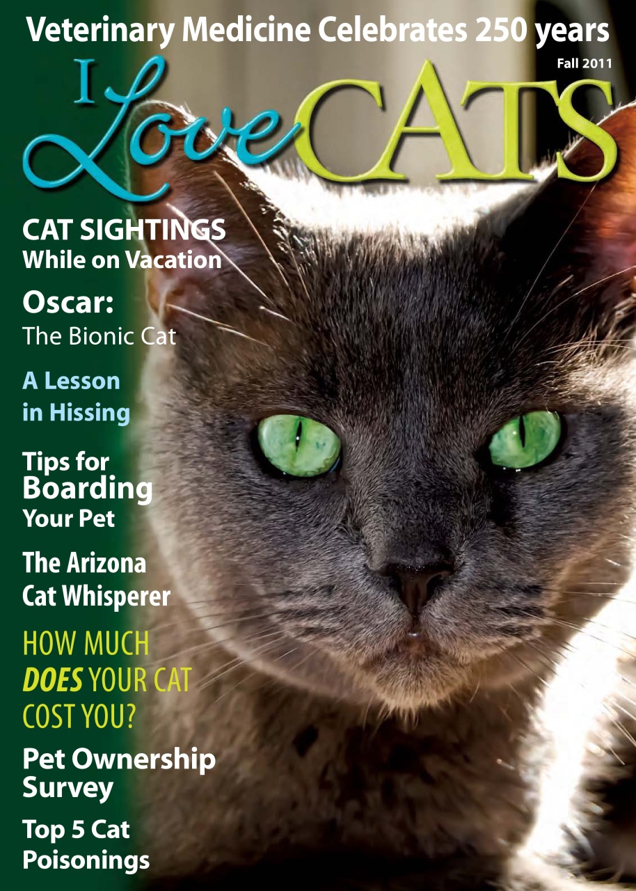 I Love Cats Preview Pages