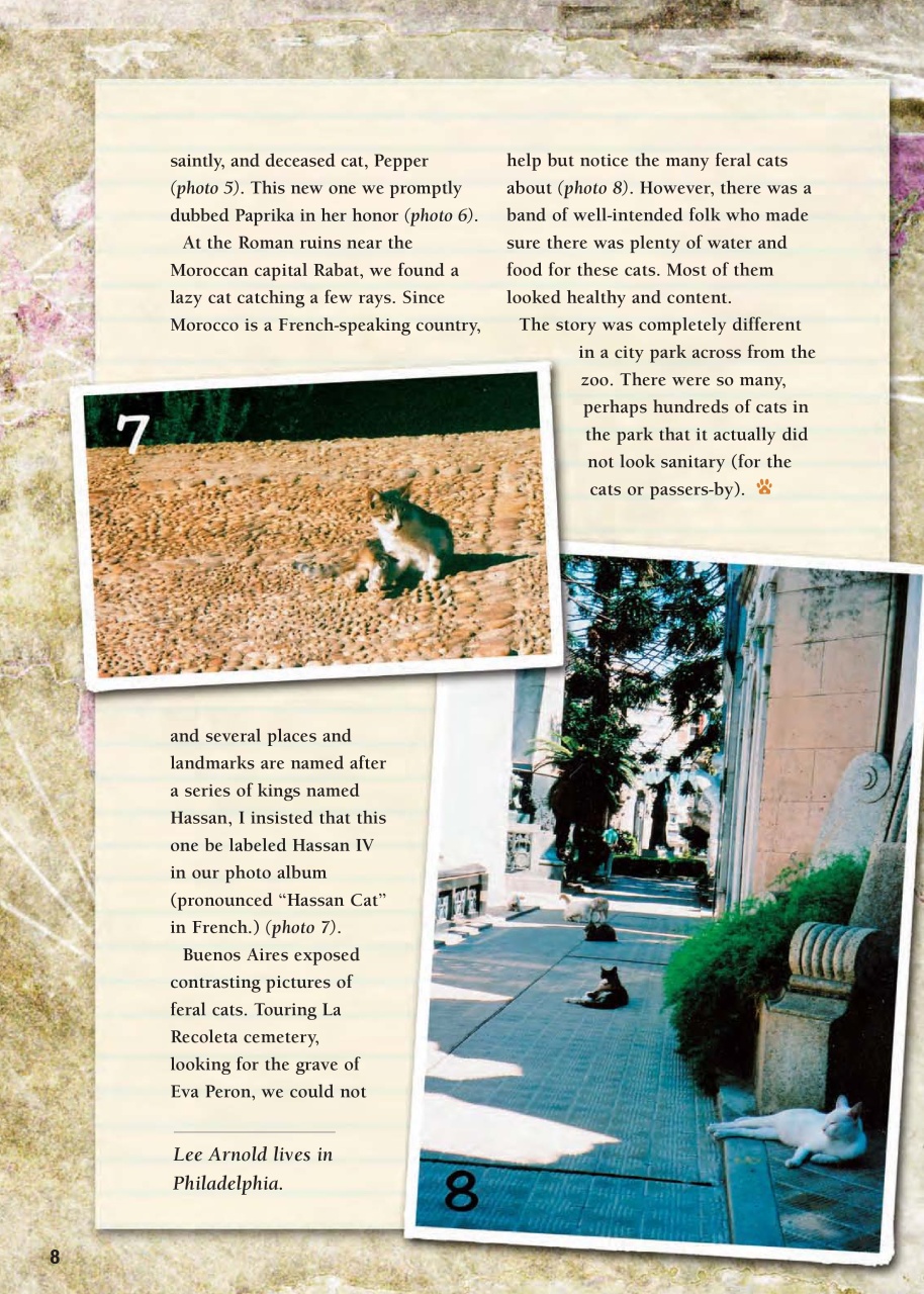 I Love Cats Preview Pages