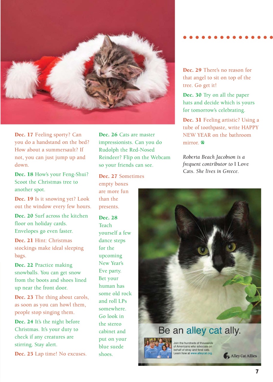 I Love Cats Preview Pages