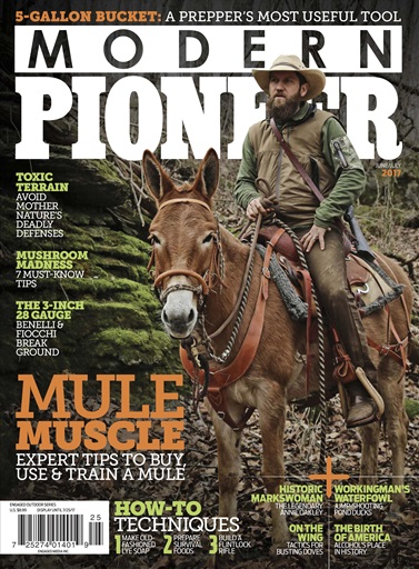 Modern Pioneer issue 