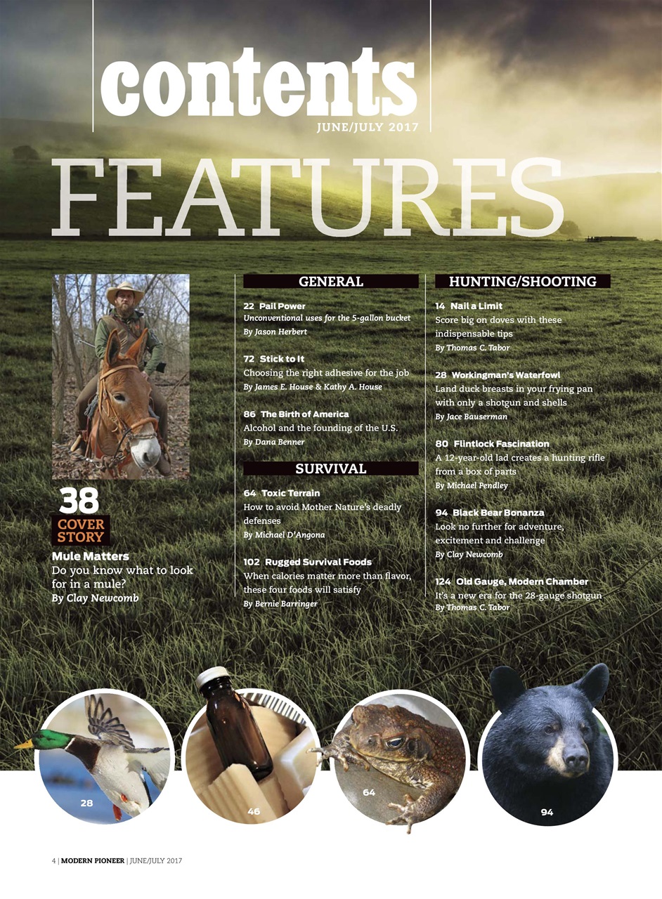 Modern Pioneer Preview Pages