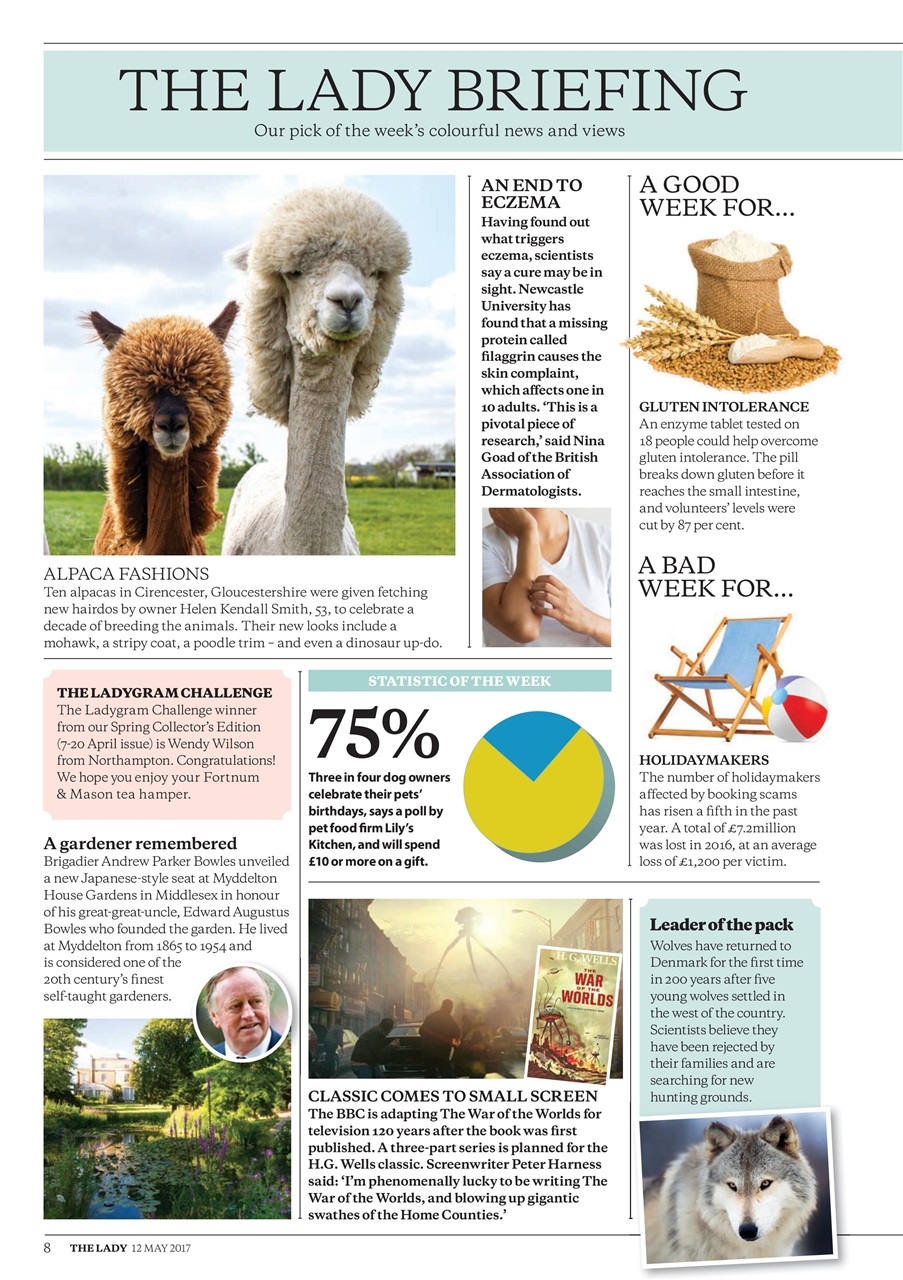 The Lady Preview Pages