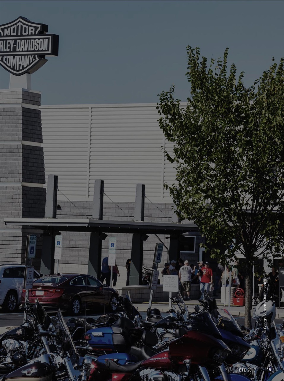 Custom Tour Preview Pages