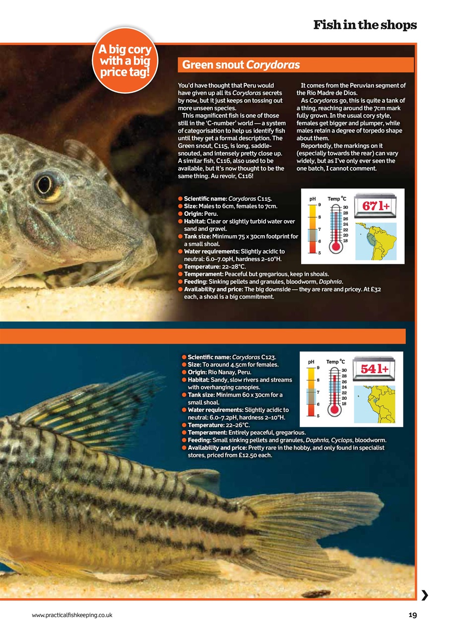 Practical Fishkeeping Preview Pages
