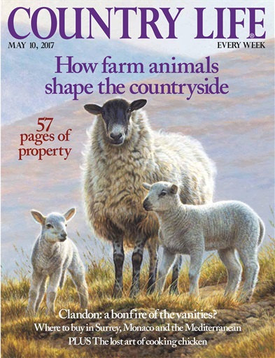 Country Life issue 