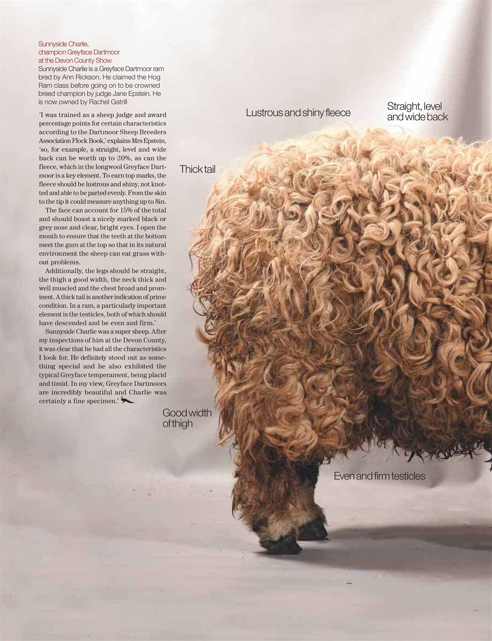 Country Life Preview Pages