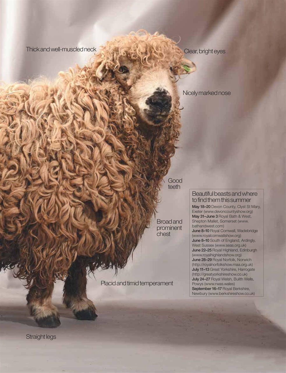 Country Life Preview Pages