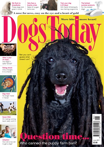 Dogs Today Magazine issue 