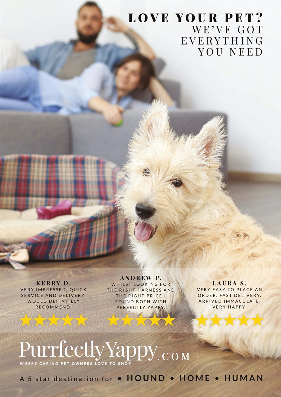 Dogs Today Magazine Preview Pages