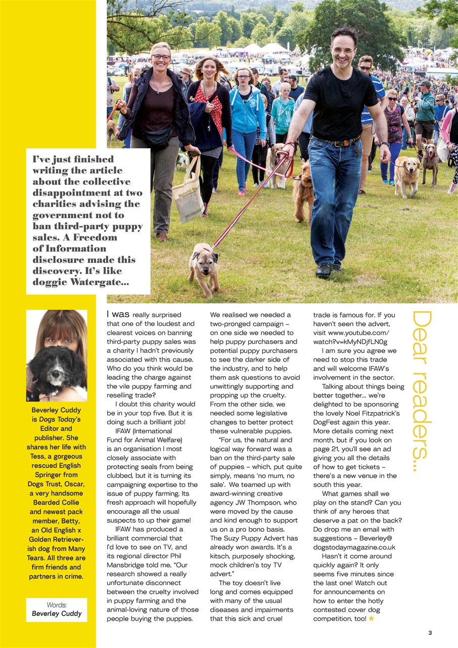 Dogs Today Magazine Preview Pages