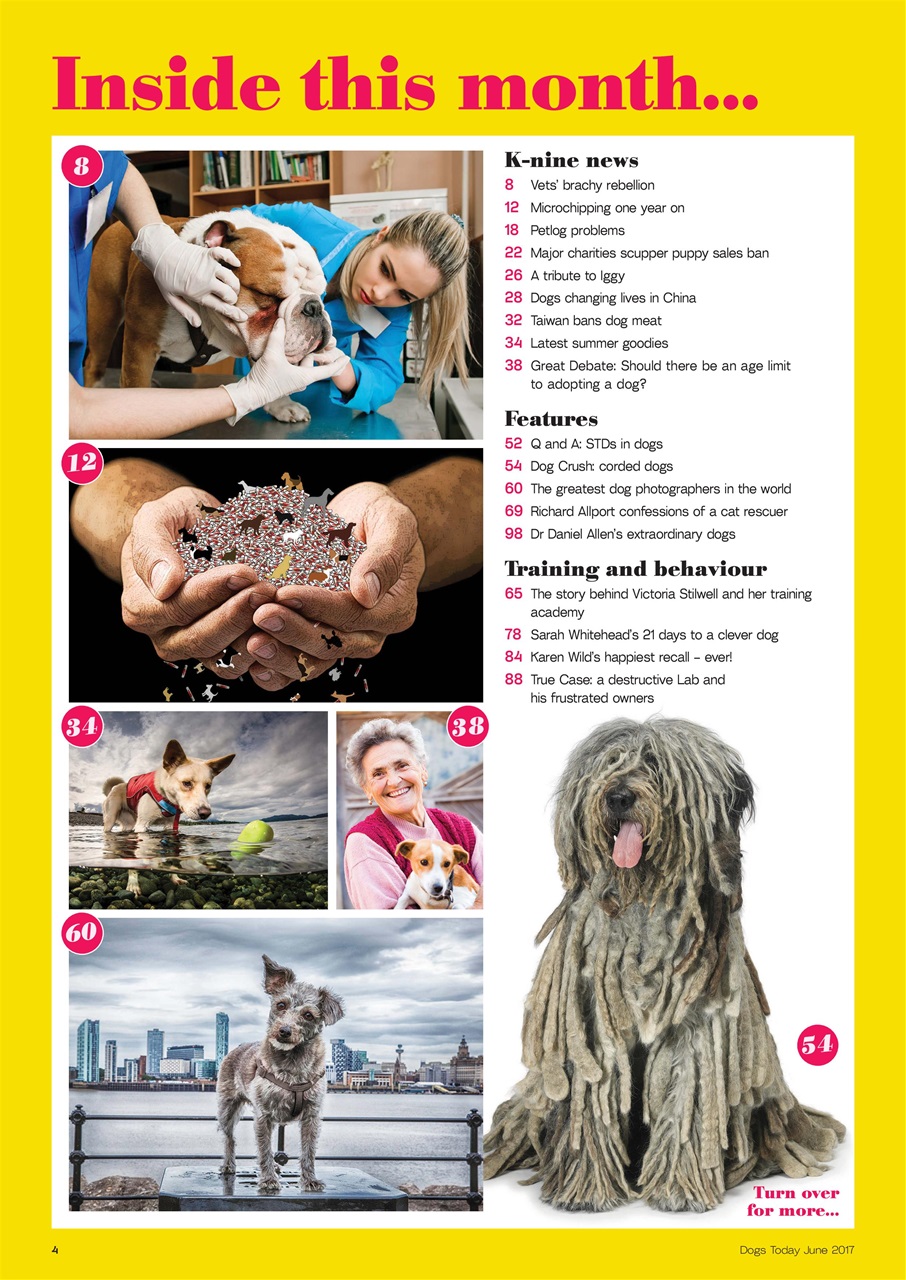 Dogs Today Magazine Preview Pages