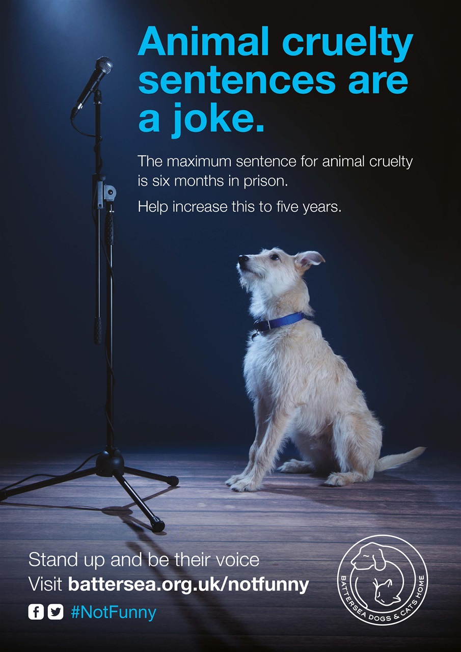 Dogs Today Magazine Preview Pages