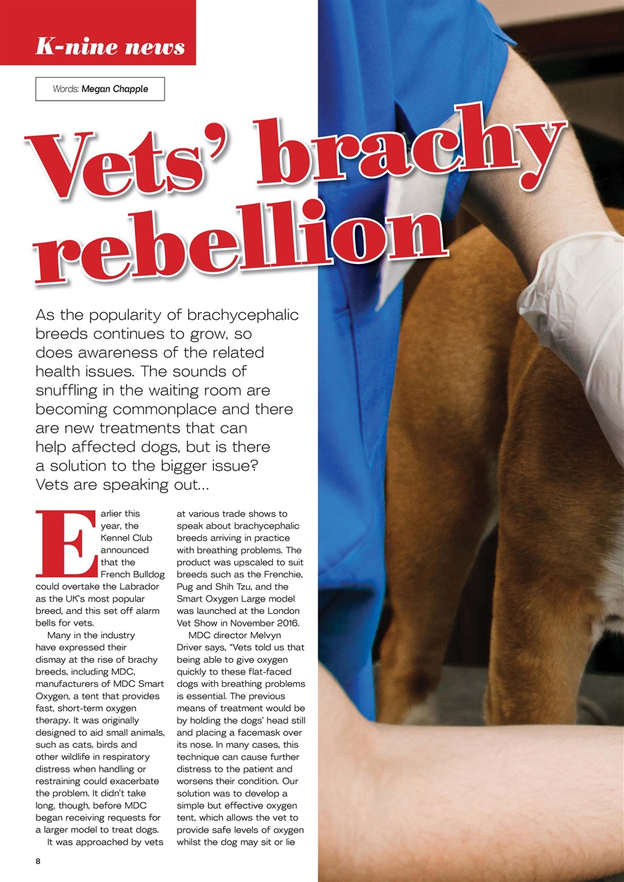 Dogs Today Magazine Preview Pages