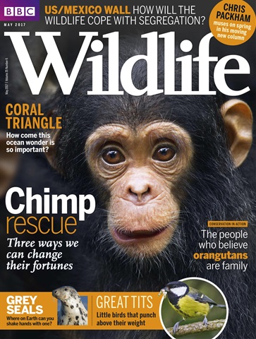 BBC Wildlife Magazine issue May 2017