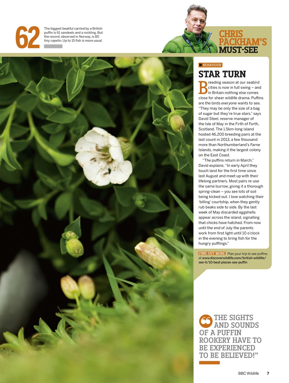 BBC Wildlife Magazine Preview Pages