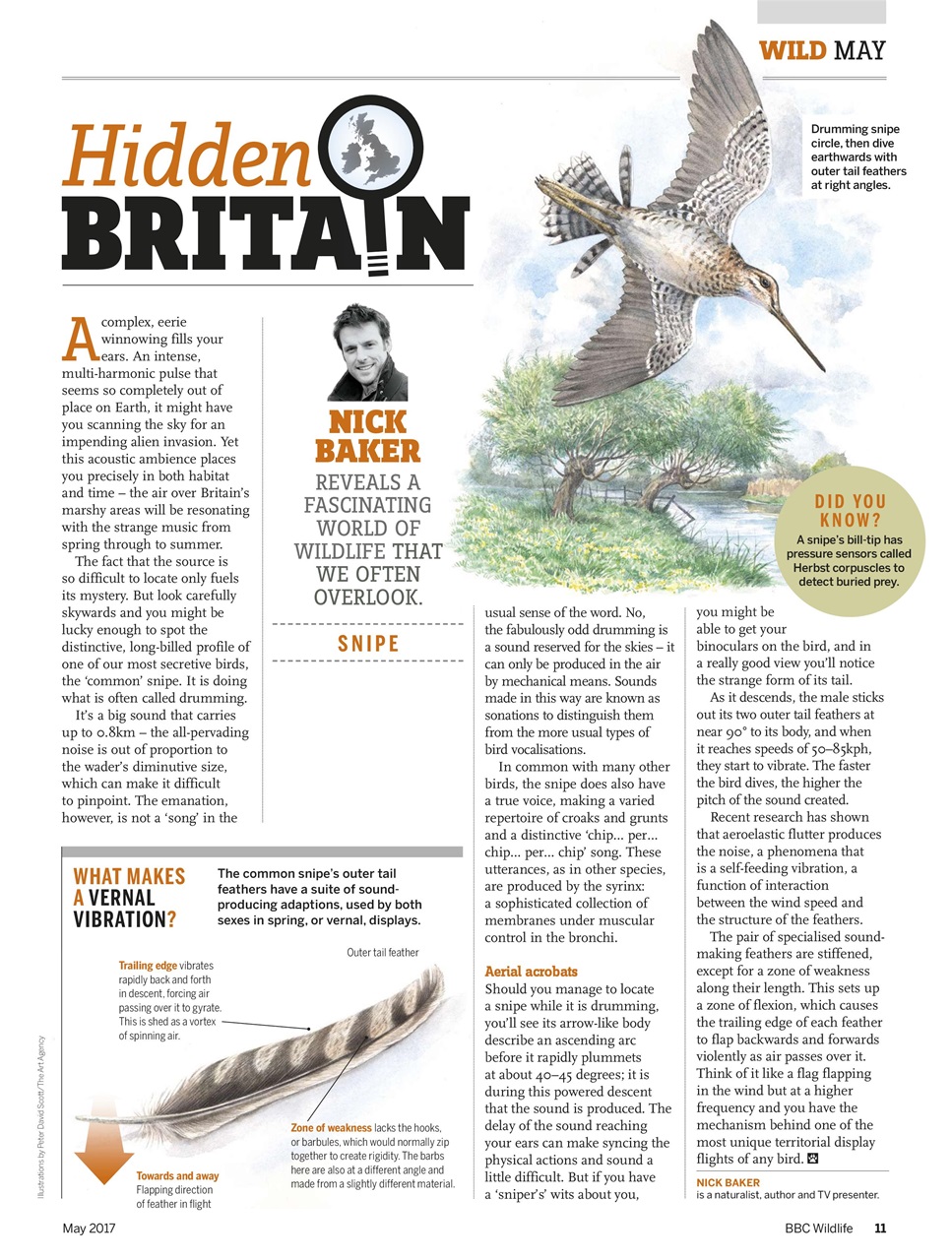 BBC Wildlife Magazine Preview Pages