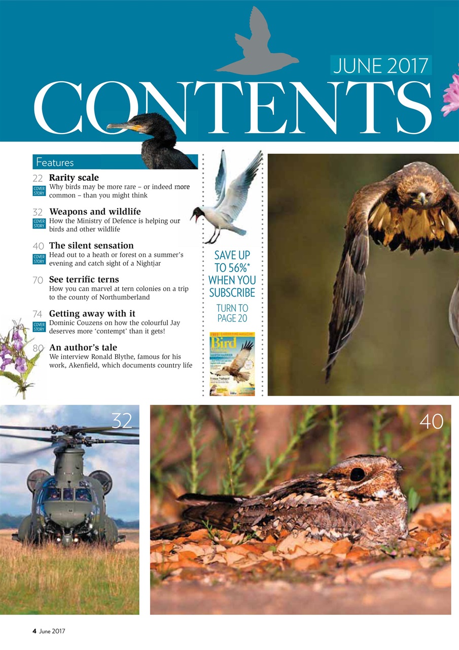 Bird Watching Preview Pages