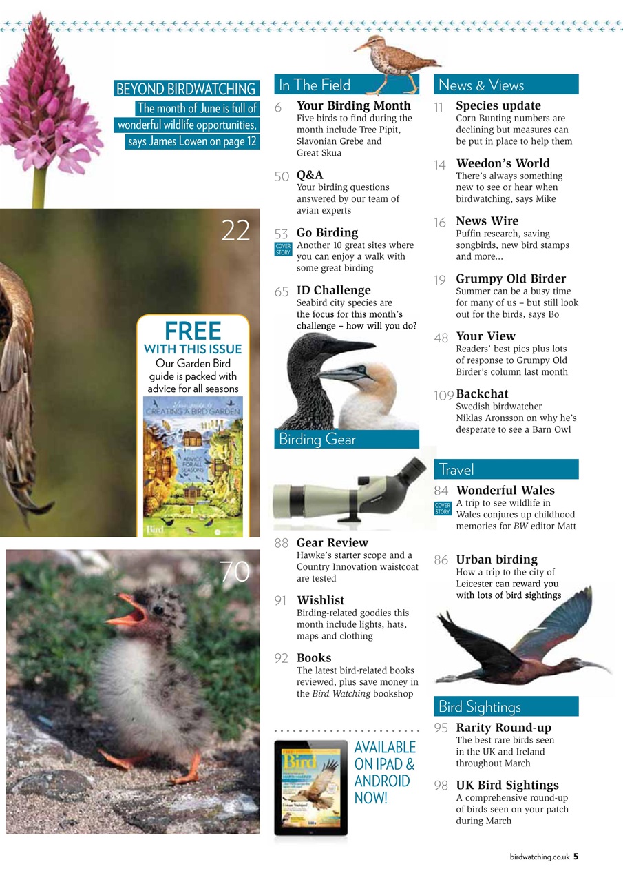 Bird Watching Preview Pages