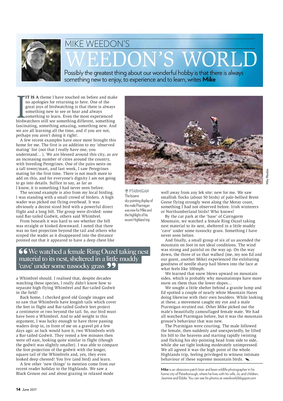 Bird Watching Preview Pages